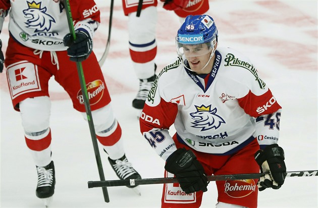 Pardubice zbrojí na titul: čtyři posily z KHL a obránci od konkurence