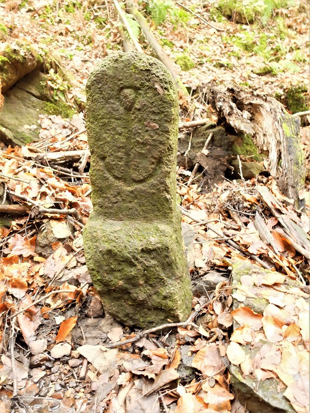 Znamení kotvy na hraniních kamenech na Sokolovsku patilo známému rodu Nostic.