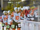 Pardubický obránce Marek �aloga slaví gól svého týmu v utkání s Litvínovem.