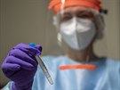 Antigenní testování na koronavirus v nemocnici v praském Motole. (16. prosince...