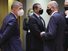 Andrej Babi se slovinským premiérem Janezem Jansou na summitu EU (10. prosinec...
