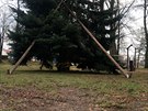 Ve �t�p�novic�ch zlomil v�tr v�no�n� strom. M�stn� ho zachr�nili