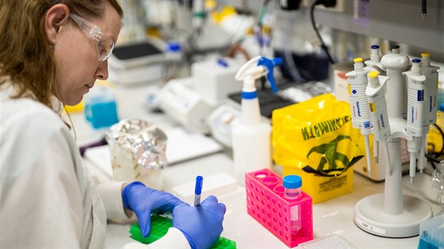 Vzkumnci z Queenslandsk univerzity (UQ) ve spoluprci s australskou firmou CSL vytv vakcnu proti koronaviru. (1. dubna 2020)