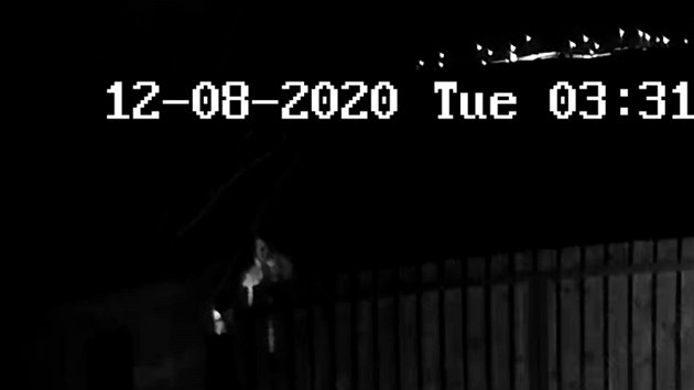 Bezpenostn kamera zaznamenala postavu pohybujc se v noci za plotem. (8. prosince 2020)