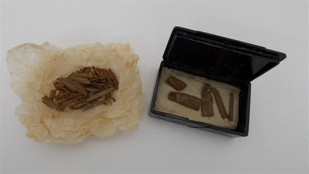 Krabice od doutnk, uloen na univerzit ve skotskm Aberdeenu, dlouh lta skrvala poklad. Objevili v n kus deva z Chufuovy pyramidy v Egypt star pes 5 000 let. (18. prosince 2020)
