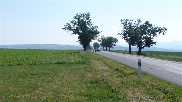 Původní třešňová alej musela v roce 2014 ustoupit úpravě silnice z Nivnice do Dolního Němčí.