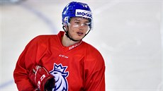 Útočník české hokejové reprezentace do 20 let David Vitouch.