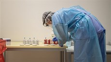 Antigenní testování na koronavirus v nemocnici v praském Motole (16. prosince...