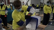 Ve Spojených státech za�ali rozvá�et vakcínu proti koronaviru od spole�nosti...