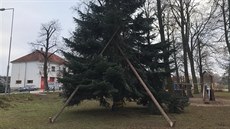 Ve Štěpánovicích se zlomil vánoční strom. Zlikvidovat ho nechtěli, tak ho...