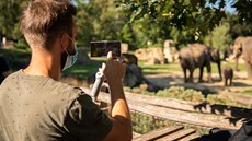 Fotografie z natáčení videoklipu v nativním 8K rozlišení o pražské zoo