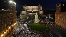 Vánoní strom pezdívaný Spelacchio na Piazza Venezia v ím. (18. prosince...