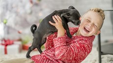 Snaha ud�lat d�tem radost je pochopitelná, pro psa nebo ko�ku ov�em musíte mít...