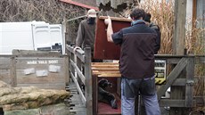 Transport nového tuleního samce do jihlavské zoologické zahrady.
