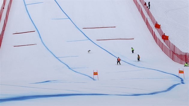 Česká výprava na OH pokoří rekord, dodatečně se kvalifikovala lyžařka Negri