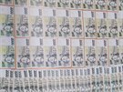 Dvojice podle kriminalist� pad�lala bankovky v hodnot� v�c ne� 600 tis�c korun.