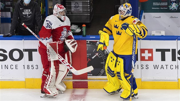 Jedni�ka �esk�ho n�rodn�ho t�mu do 20 let Nick Mal�k v dru�n�m rozhovoru se �v�dsk�m g�lmanem Hugem Alnefeltem (30).