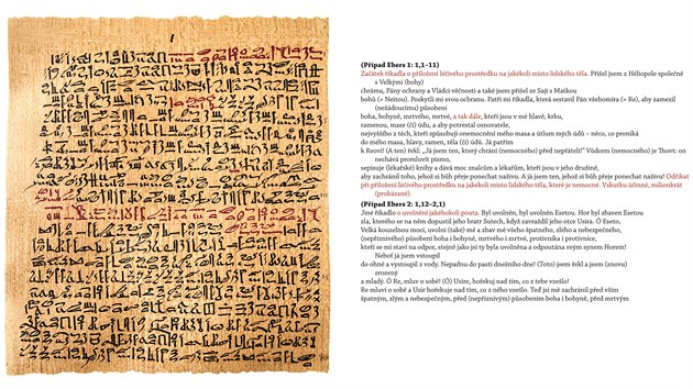 Publikace Ebersův lékařský papyrus odpovídá původnímu obsahu také graficky – levá strana v knize vyobrazuje faksimile nebo je přepisem původního textu, na pravé je český překlad profesora Vachaly, který odpovídá jednotlivým řádkům na papyru a přesně kopíruje i třeba červeno-černé hieratické písmo. Červená barva v egyptských textech označovala začátek nebo jeho významné pasáže. Některé ingredience v receptech nebylo možné přeložit, protože není dosud jasné, co slova ve staroegyptštině znamenají. Profesor Vachala je v překladu označil kurzívou.