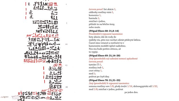 Publikace Ebersův lékařský papyrus odpovídá původnímu obsahu také graficky – levá strana v knize vyobrazuje faksimile nebo je přepisem původního textu, na pravé je český překlad profesora Vachaly, který odpovídá jednotlivým řádkům na papyru a přesně kopíruje i třeba červeno-černé hieratické písmo. Červená barva v egyptských textech označovala začátek nebo jeho významné pasáže. Některé ingredience v receptech nebylo možné přeložit, protože není dosud jasné, co slova ve staroegyptštině znamenají. Profesor Vachala je v překladu označil kurzívou.