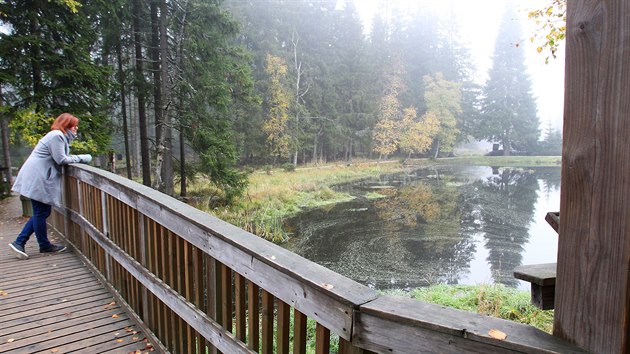 Nau�n� stezka na Kladsk� ve Slavkovsk�m lese je obl�ben�m c�lem n�v�t�vn�k� po cel� rok.