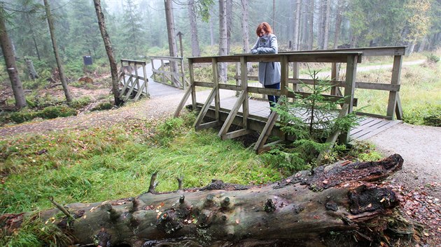 Nau�n� stezka na Kladsk� ve Slavkovsk�m lese je obl�ben�m c�lem n�v�t�vn�k� po cel� rok.