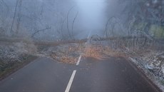 Silnice 445 u Rýmařova není kvůli hrozby pádu stromů pod tíhou námrazy...