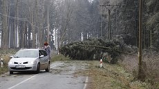 Vítr vyvrátil stromy na silnici mezi Stají a Zhoí na Vysoin a pokodil zde...