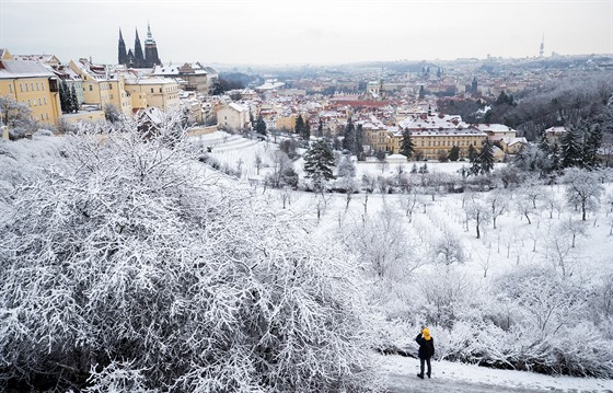 ilustra�ní snímek