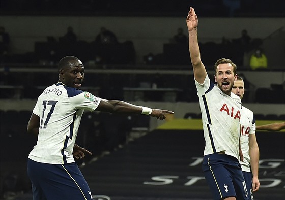 Moussa Sissoko (vlevo) a Harry Kane z Tottenhamu radí rozhodčímu.