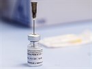 Vakcína Pfizer/BioNTech (7. ledna 2021)