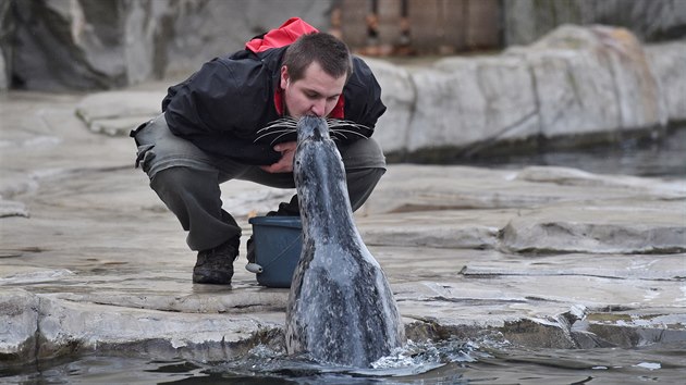 Mlask! Polibek s pracovnkem zoo.