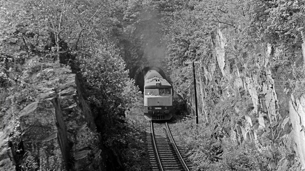 Symbolem Pos�zavsk�ho Pacifiku se staly motorov� lokomotvy T478, Bardotky, se...