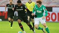 Leon Bailey z Leverkusenu uniká Joshi Sargentovi z Brém.