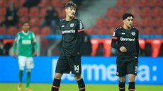 Úto�ník Leverkusenu Patrik Schick.
