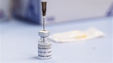 Třetí dávka zvýší pětkrát až desetkrát ochranu před virem, tvrdí Pfizer. USA zvažuje změnu ve vakcinaci