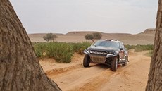 Miroslav Zapletal na Rallye Dakar.