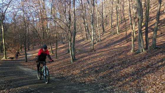 Cyklista v Kunratickém lese