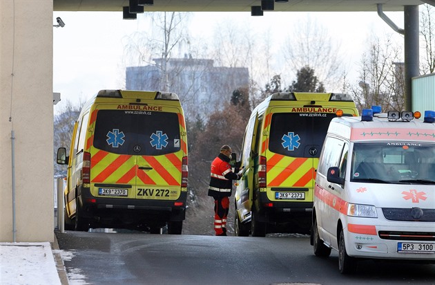 Sanitky u píjmu chebské nemocnice.