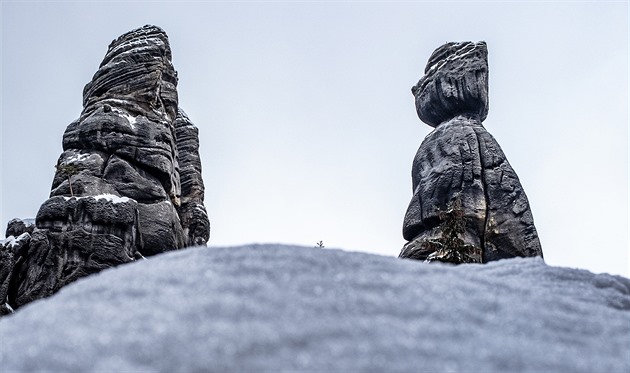 Starosta a Starostová v Adrpaských skalách pod snhovým poprakem (5. ledna...