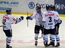 Hokejisté Liberce se radují ze vstelené branky v zápase proti Plzni.