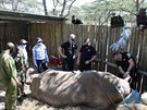 Nov embrya mohou zachrnit nosoroce ped vyhubenm