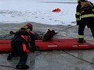 Do Lipna se propadl k��, z ledu ho tahali z�chran��i