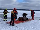 Vodn� z�chrann� slu�ba vyt�hla z vody kon�, pod kter�m se na Lipn� probo�il led.