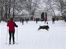 Zimn poas vyuili lid k bkovn. V oboe Hvzda v Praze bylo celkem...