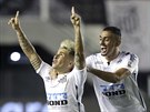 Soteldo a jeho spoluhrái z Santosu oslavují gól.