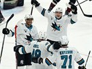 Hokejisté San Jose Sharks slaví trefu Tomáe Hertla (48). Gratulují Evander...