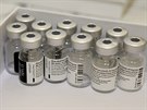 Vakcína proti onemocnní covid-19 ve Fakultní nemocnici v Plzni (7. 1. 2021)