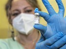 Sestra Irena Sytná Svitáková z Fakultní nemocnice v Plzni ukazuje vakcínu proti...
