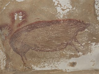 Archeologové v Indonésii objevili nejstarší známou jeskynní malbu. (14. ledna...