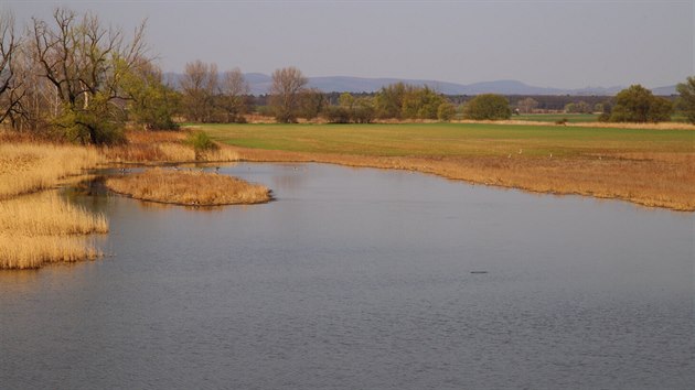 Jedna z vodních ploch v nově vznikajícím Ptačím parku Kosteliska.